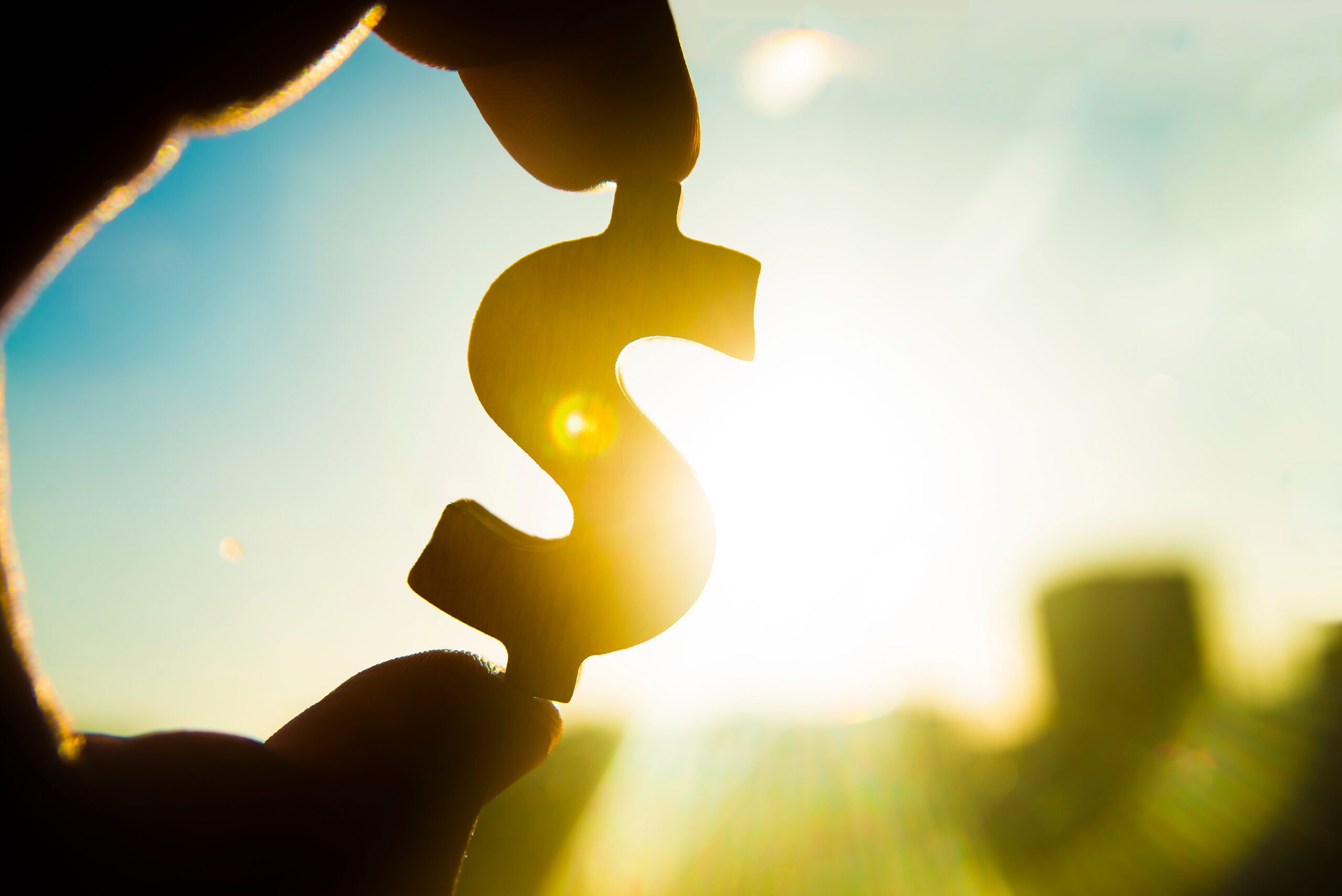 Hand,Hold,Silhouette,Of,Dollar,Sign,,,Symbol,Of,American